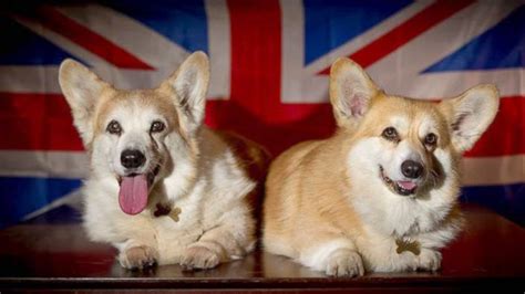 Corgi UK.